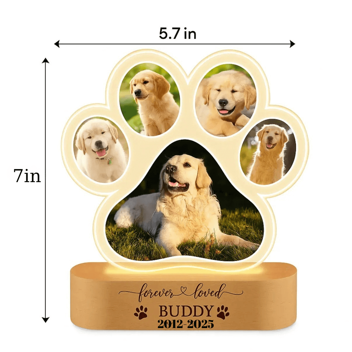 Personalized Paw Memory Lamp