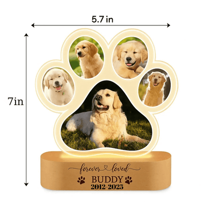 Personalized Paw Memory Lamp
