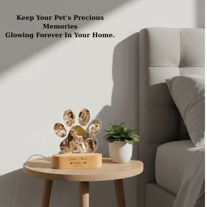Personalized Paw Memory Lamp